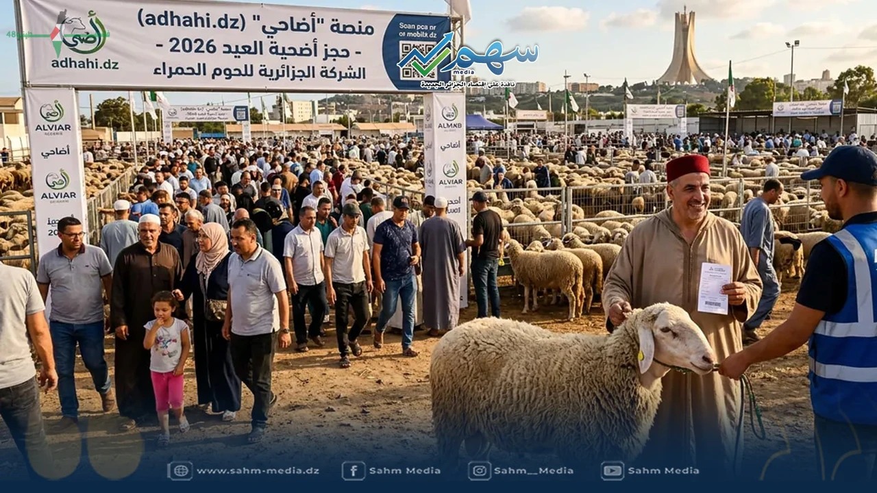 شروط استلام الأضاحي المستوردة عقب معاقبة المسؤولين المتورطين في التجاوزات السابقة